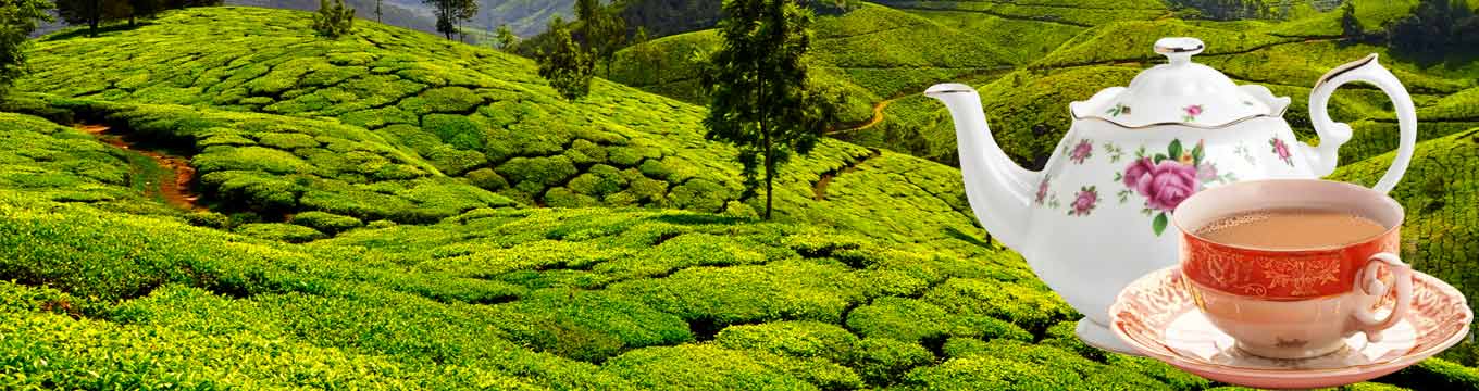 North East's Best Tea Collection